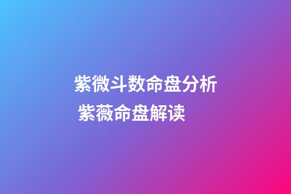 紫微斗数命盘分析 紫薇命盘解读